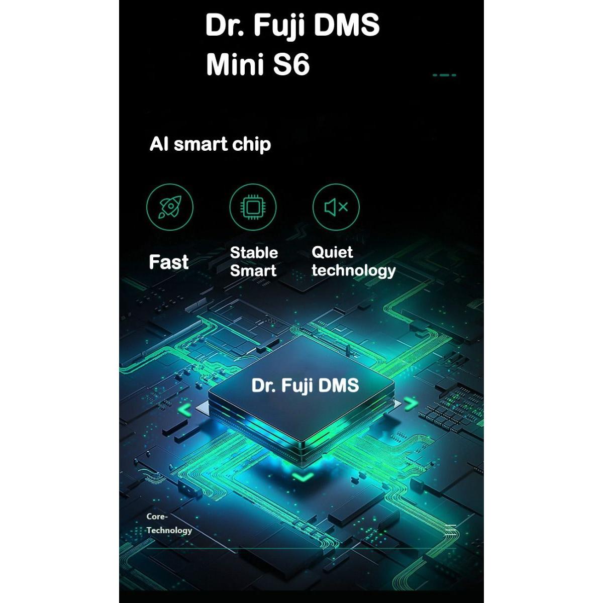 Dr. Fuji DMS MINI S6 Deep Muscle Massager